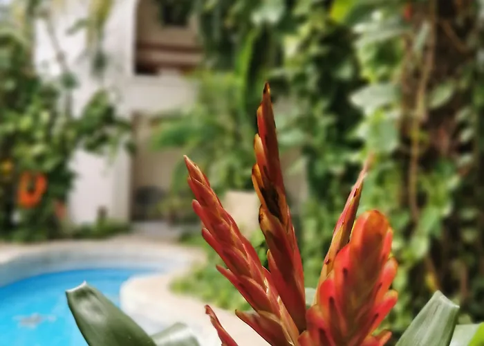 Hulku Hotel 3*