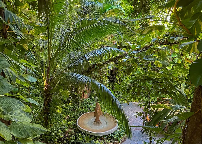 Hotel Hulku Playa del Carmen